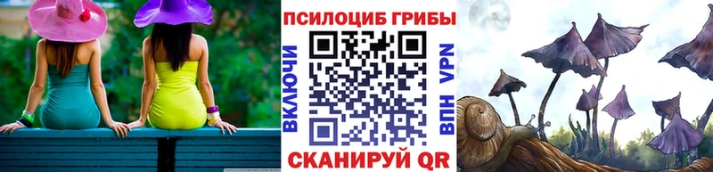 Псилоцибиновые грибы Psilocybine cubensis ссылка на мегу ONION Окуловка продажа наркотиков